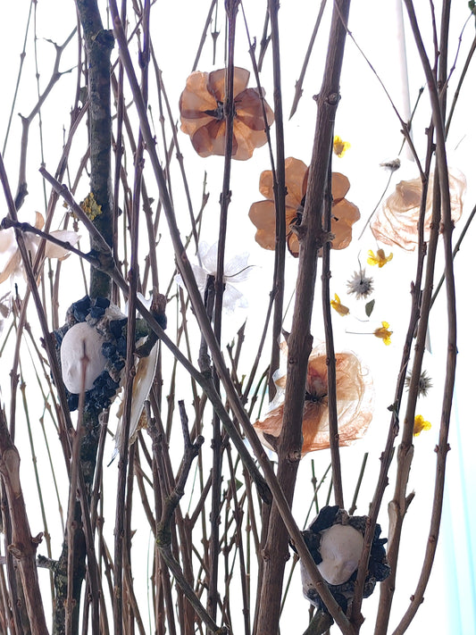 Projet Jardins en scène