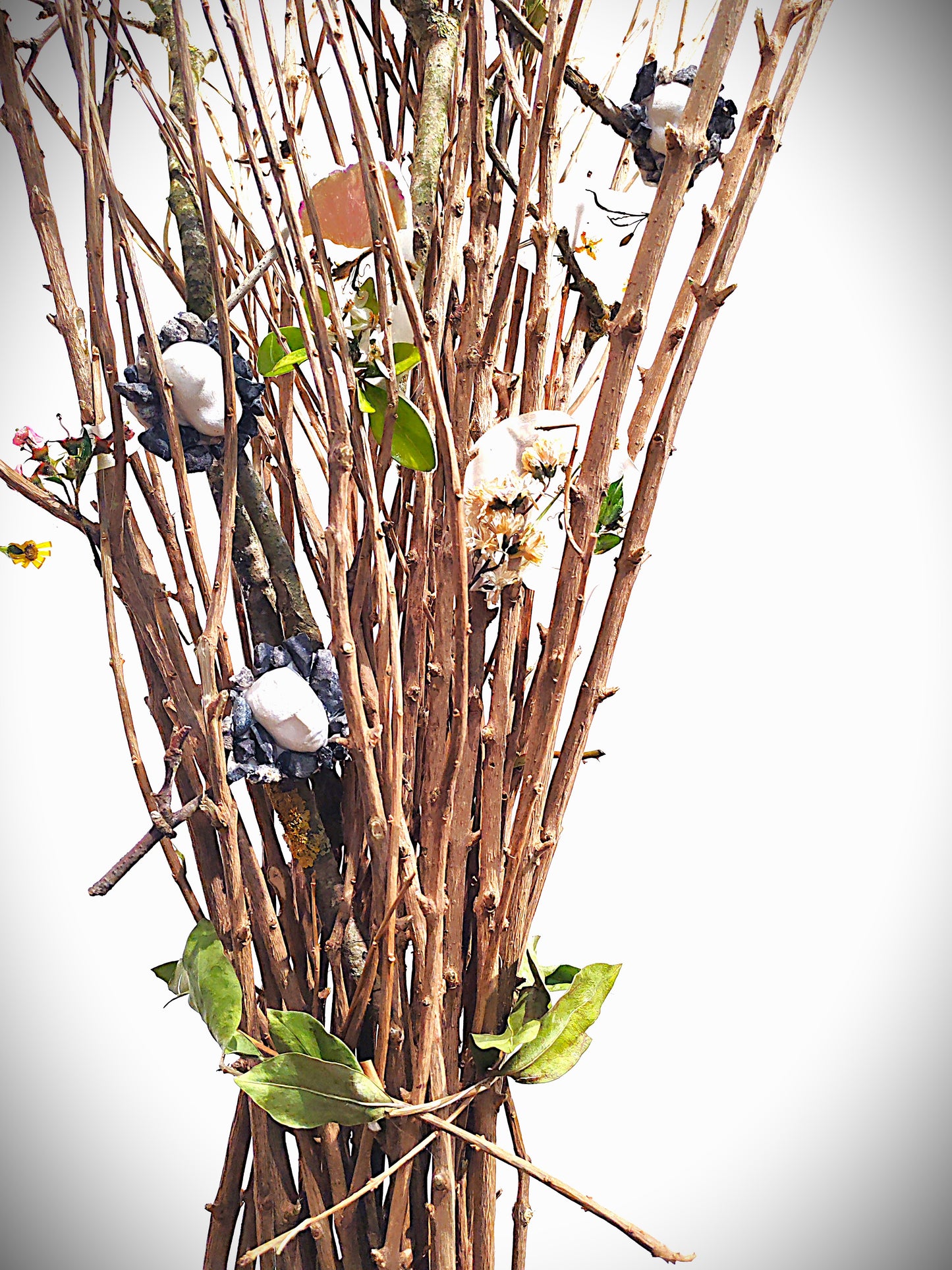 Murmures du vivant, Sculpture-installation végétale contemporaine