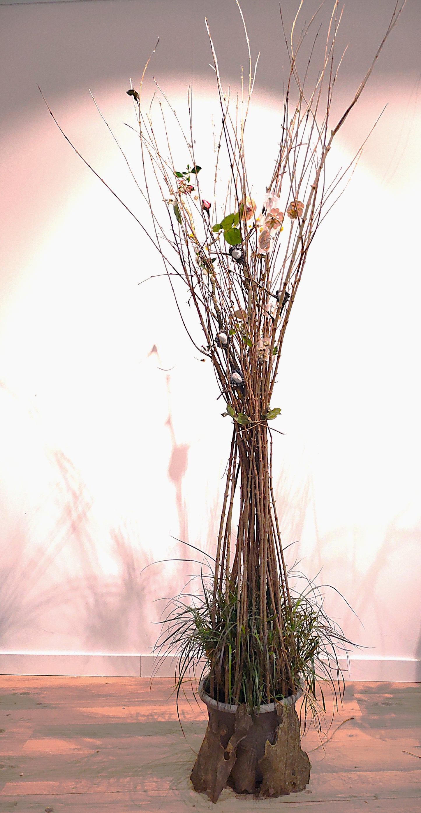 Murmures du vivant, Sculpture-installation végétale contemporaine
