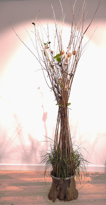 Murmures du vivant, Sculpture-installation végétale contemporaine