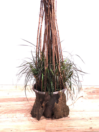 Murmures du vivant, Sculpture-installation végétale contemporaine